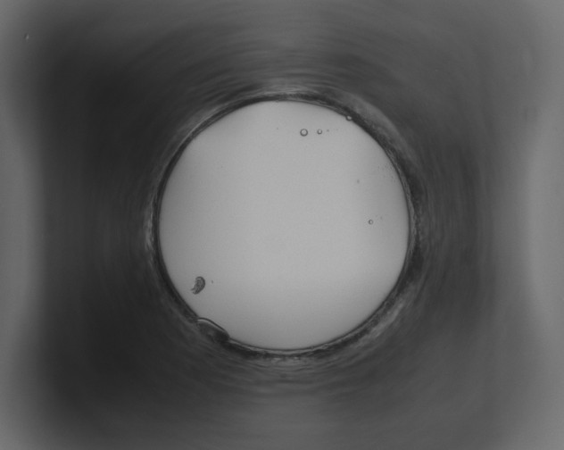 X0000100491177200807111116