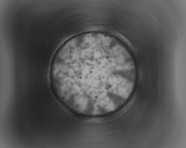X0000100491178200807111116