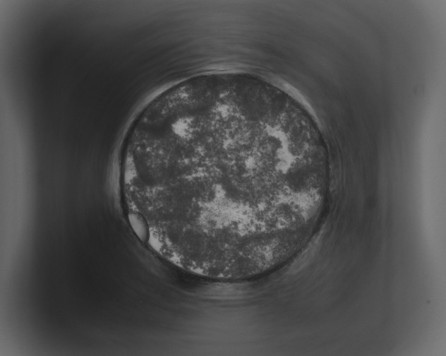 X0000100491179200807111116