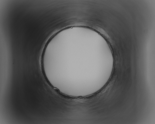 X0000100491181200807111116