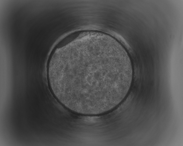 X0000100491184200807111116