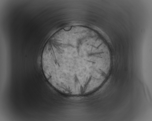 X0000100491185200807111116