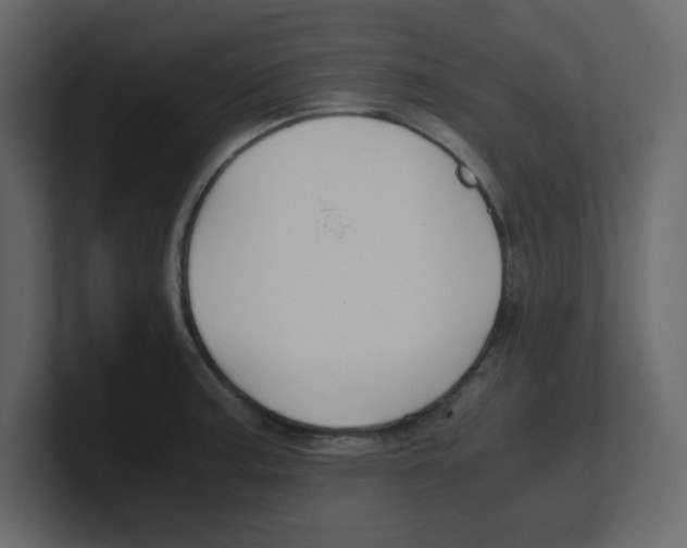 X0000100491187200807111116