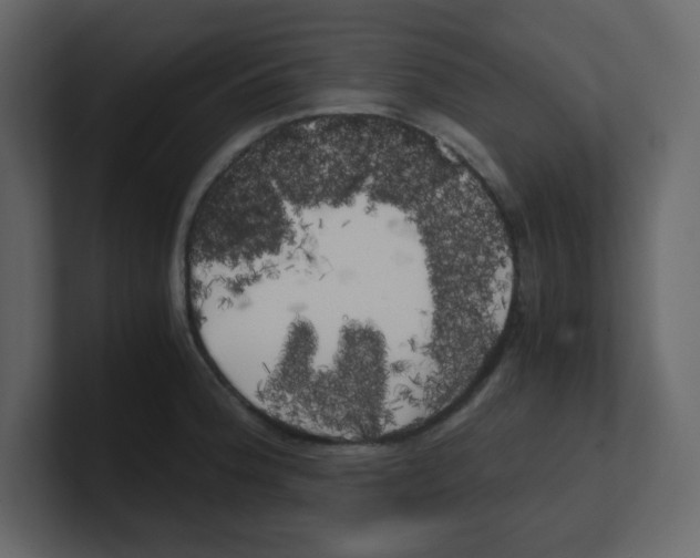 X0000100491188200807111116