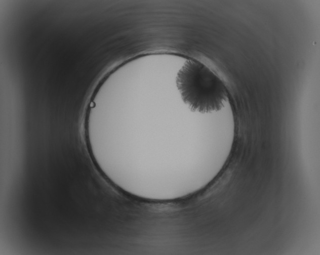 X0000100491189200807111116