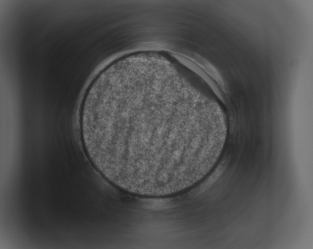 X0000100491192200807111116
