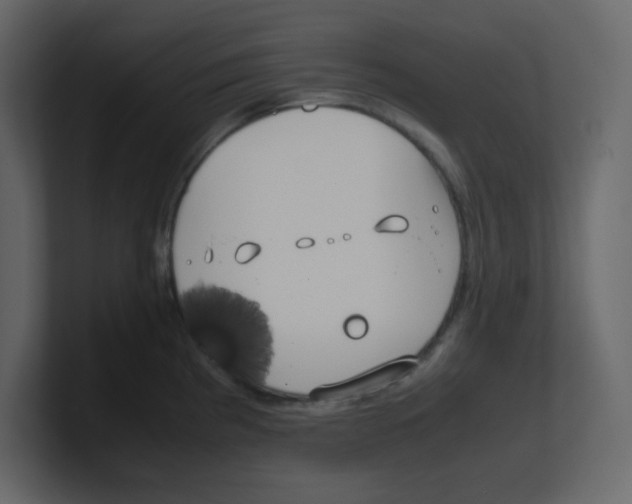 X0000100491193200807111116