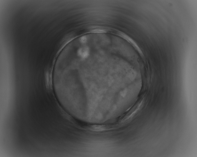 X0000100491194200807111116