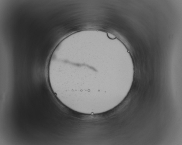 X0000100491195200807111116