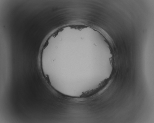 X0000100491196200807111116