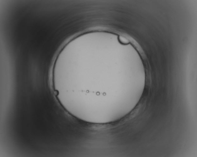 X0000100491199200807111116