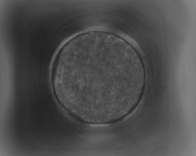 X0000100491200200807111116