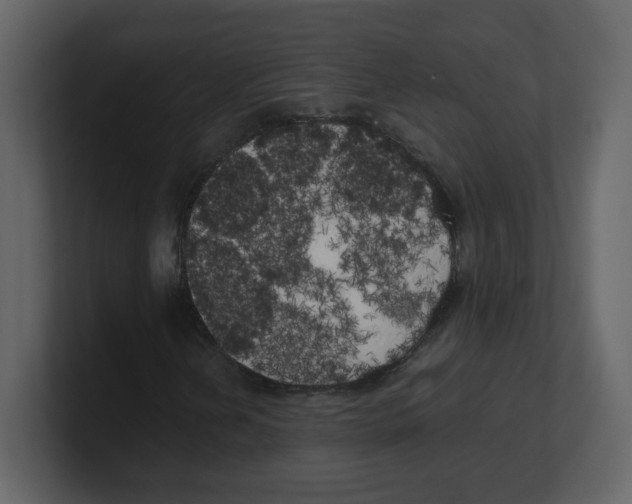 X0000100491202200807111115
