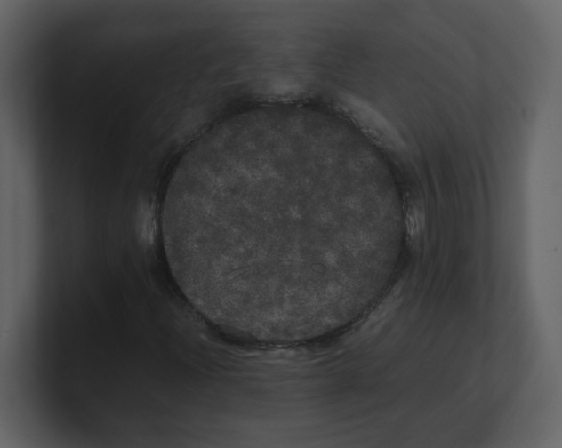X0000100491204200807111115