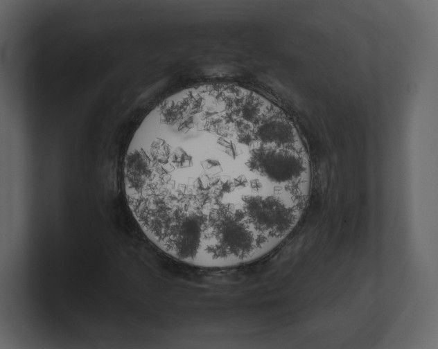 X0000100491205200807111115