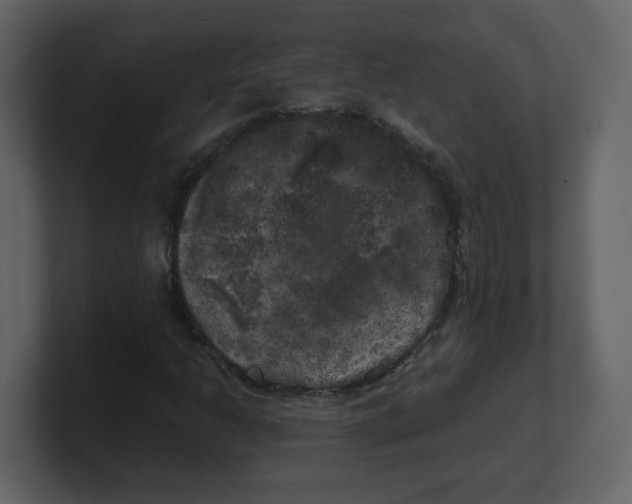 X0000100491206200807111115