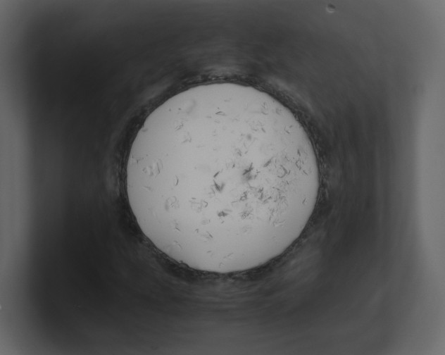 X0000100491207200807111115
