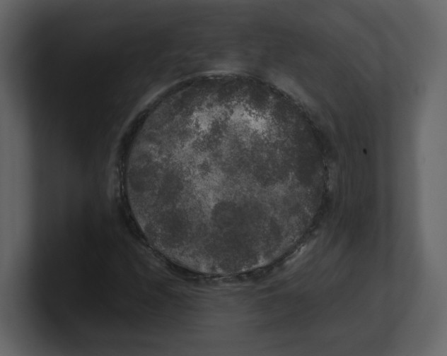 X0000100491208200807111115