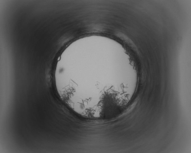X0000100491210200807111115