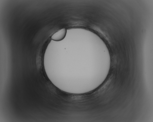 X0000100491211200807111115