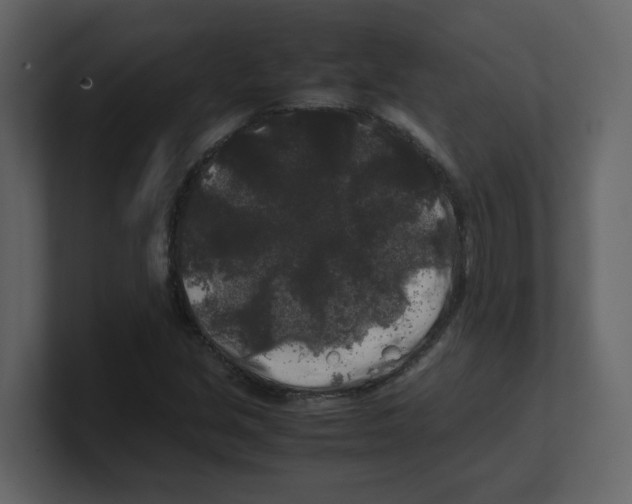 X0000100491213200807111115