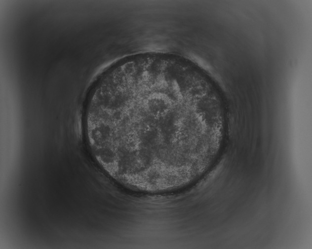 X0000100491214200807111115