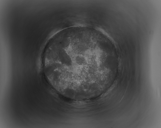 X0000100491215200807111115