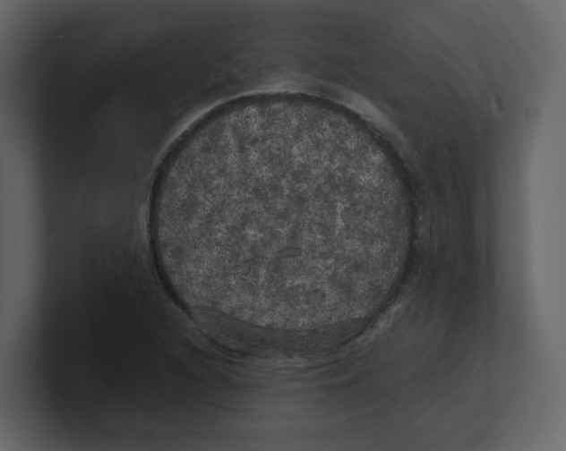 X0000100491216200807111115