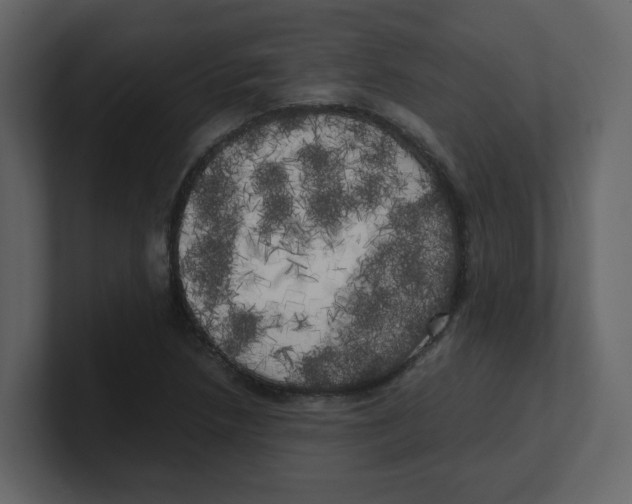 X0000100491218200807111115