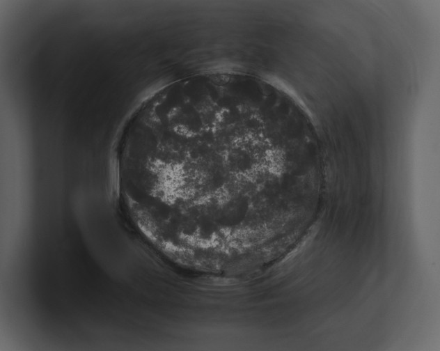 X0000100491219200807111115