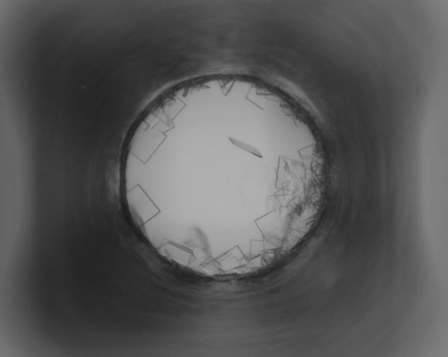 X0000100491220200807111115