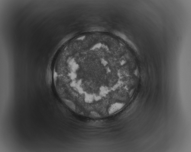 X0000100491221200807111115