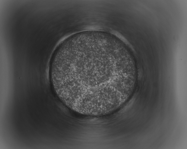 X0000100491222200807111115
