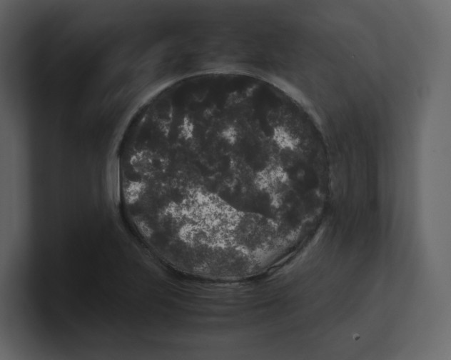 X0000100491223200807111115