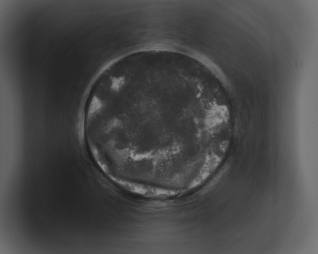 X0000100491224200807111115