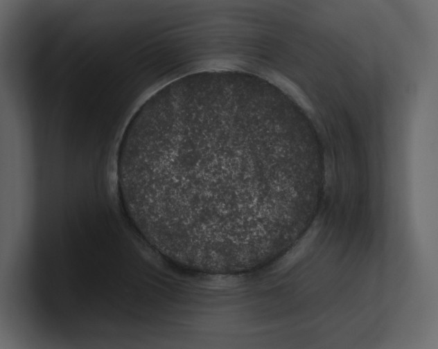 X0000100491226200807111115
