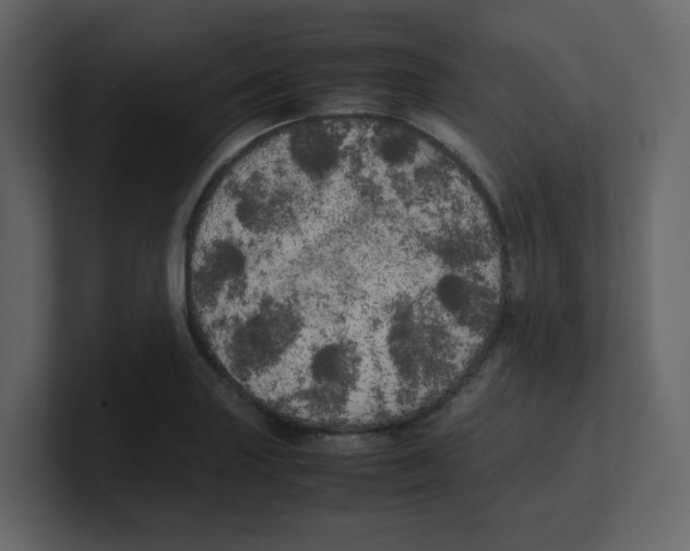 X0000100491227200807111115