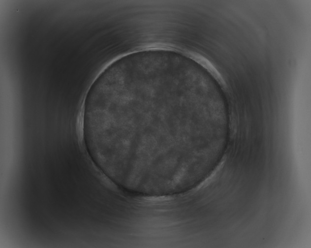 X0000100491228200807111115