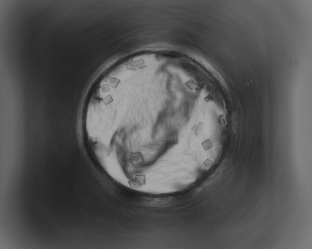 X0000100491229200807111116