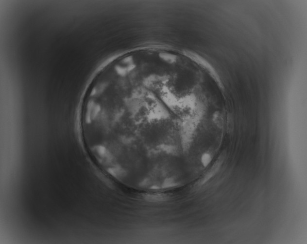 X0000100491231200807111116
