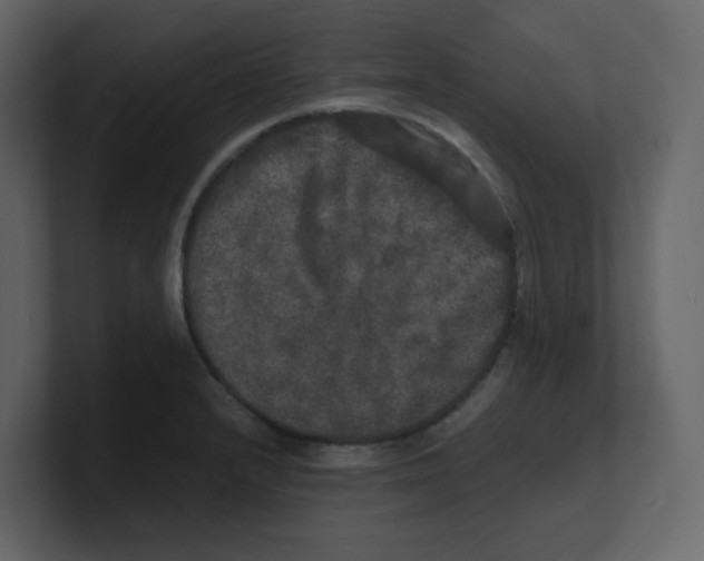 X0000100491232200807111116