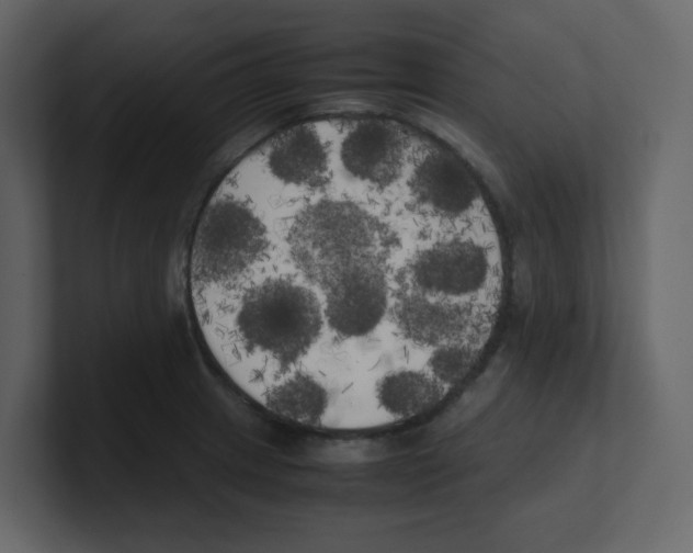 X0000100491233200807111116