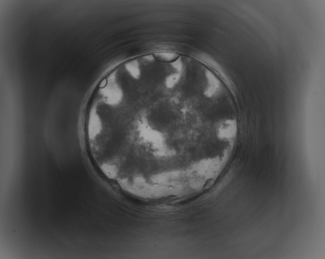 X0000100491235200807111116