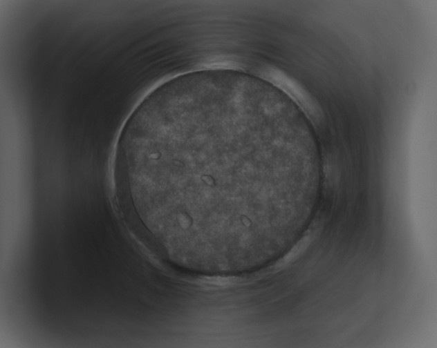 X0000100491236200807111116