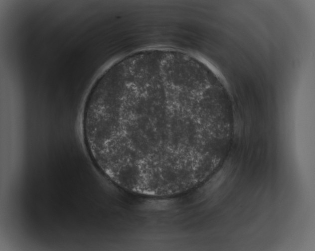 X0000100491237200807111116