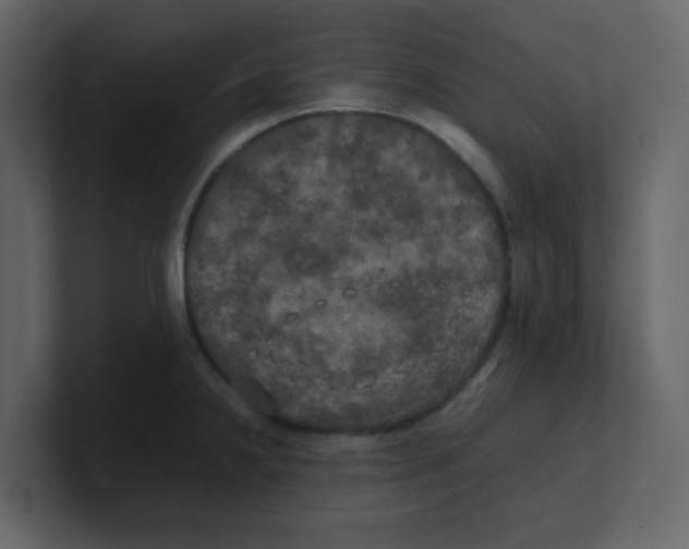 X0000100491238200807111116