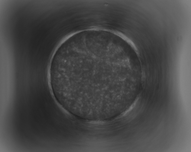 X0000100491239200807111116