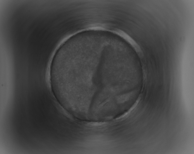 X0000100491240200807111116