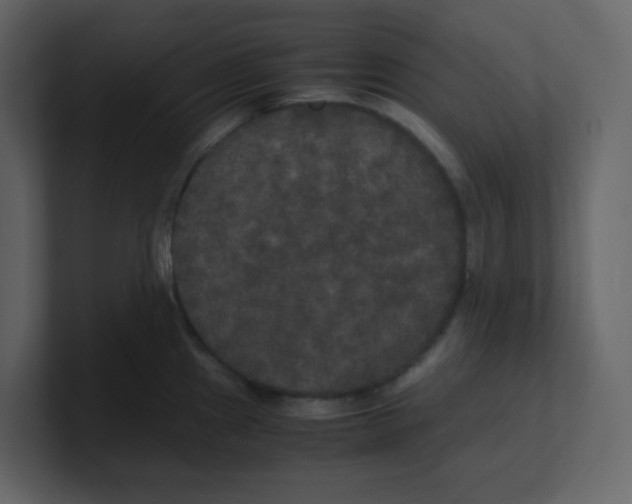 X0000100491241200807111116