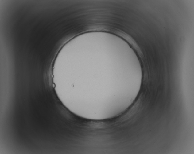 X0000100491242200807111116